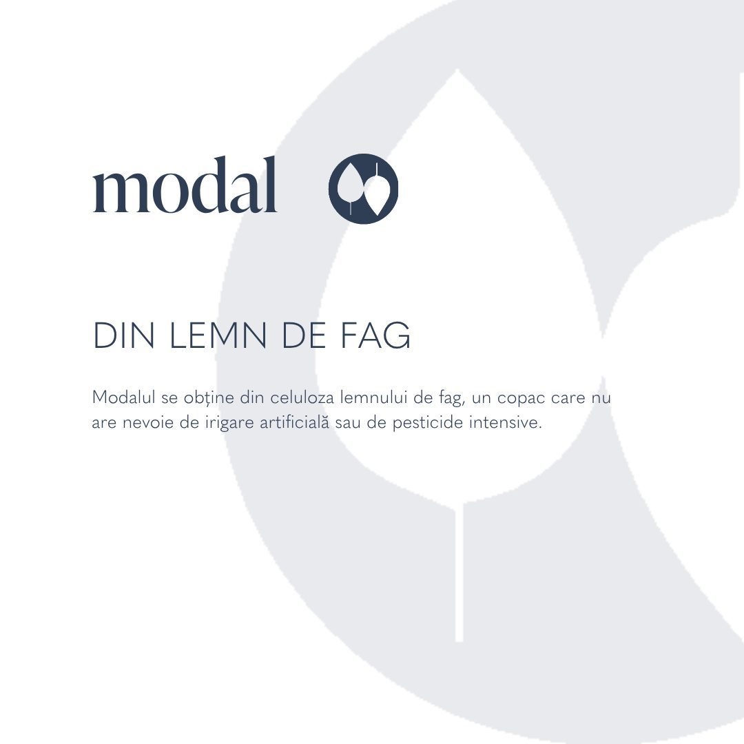 Carousel card: modal, din lemn de fag
